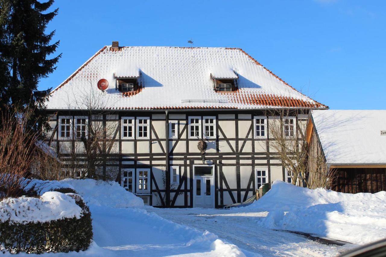 Appartamento Forsthaus In Waldhessen Bauhaus Esterno foto