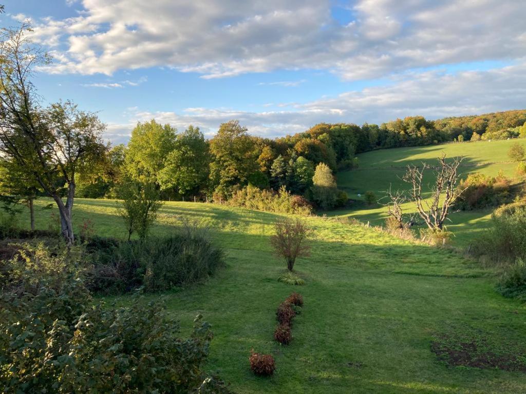 Appartamento Forsthaus In Waldhessen Bauhaus Esterno foto