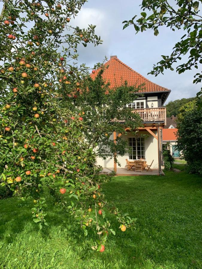 Appartamento Forsthaus In Waldhessen Bauhaus Esterno foto